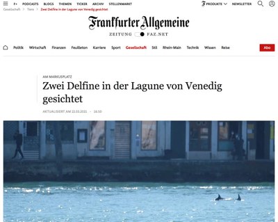 Screenshot eines Onlineartikels der Frankfurter Allgemeinen Zeitung mit der Überschrift: Zwei Delfine in der Lagune von Venedig gesichtet.