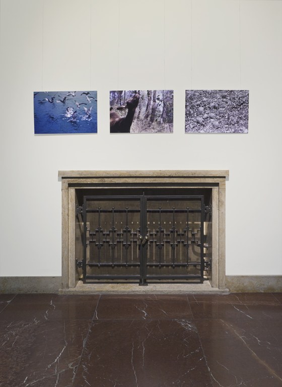 Ausstellungsansicht: Hans Haacke, Ausstellung am Zentralinstitut für Kunstgeschichte (12.12.2019-7.2.2020)©Wilfried Petzi