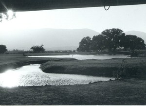 Dan Zur&Lipa Yahalom, National Park Hurshat Tal, Israel, 1959 © Azrieli Architectural Archive, Tel Aviv Museum of Art, Tel Aviv, Fotograf unbekannt