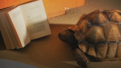 Foto einer Schildkröte vot einem aufgeschlagenen Buch.