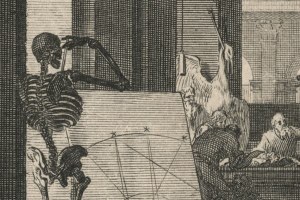 Workshop // Antoine Gallay: Drawing as an epistemic practice: The work and status of draughtsmen and engravers in early modern scientific institutions (1650-1750)