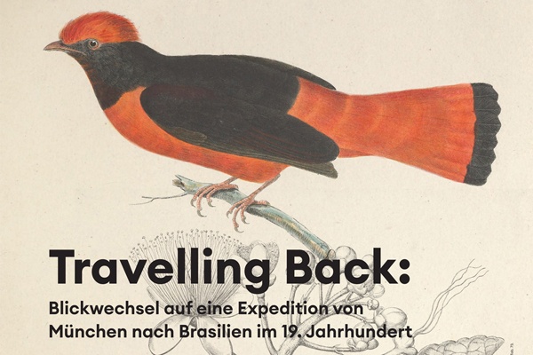 Guided Tour // Travelling Back: reframing a 19th-century expedition from Munich to Brazil