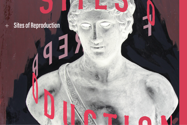 International Study Day  // Sites of Reproduction. Sculpture and Photography between Knowledge and Practice