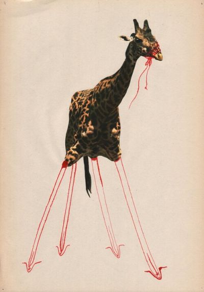 Intext_The_Heart_of_a_Giraffe.jpg