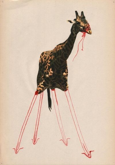 Intext_The_Heart_of_a_Giraffe.jpg
