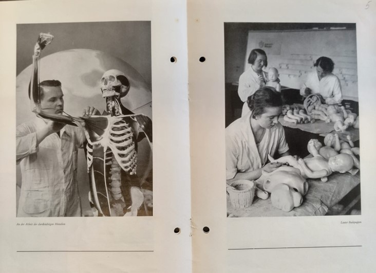 Workshop // Alexandra Masgras: Eugenic Visual Culture and the Lure of German ‘Soft Power:’ The International Reach of the Deutsches Hygiene-Museum, 1919-1939