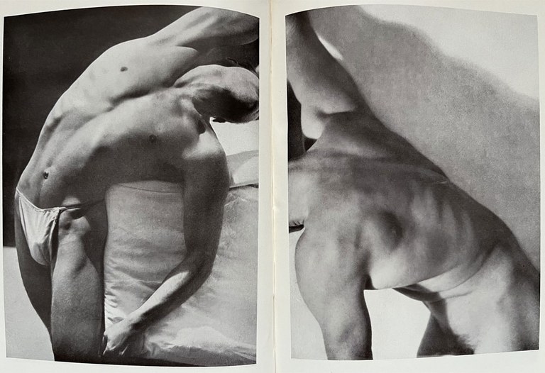 Emil Schaeffer: Der männliche Körper (Schaubücher 31), Orell Füssli Verlag, Zürich/Leipzig 1931