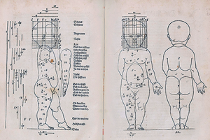 Vortrag // Elisabeth Weymann: Berechnete Schönheit: Albrecht Dürers ‚Follower‘