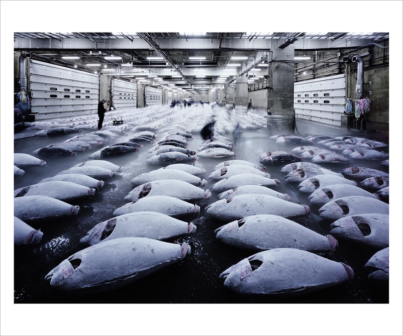 Ralf Kaspers: Tuna, Tokio 2007, 143 x 420 cm