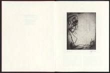 Aufgeschlagenes Buch. Auf der rechten Seite: Zeichnung in Graustufen.