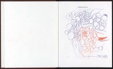 Aufgeschlagenes Buch. Auf der rechten Seite: Blau-rote Zeichnung.