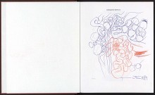 Nitsch : Das bildnerische Werk 