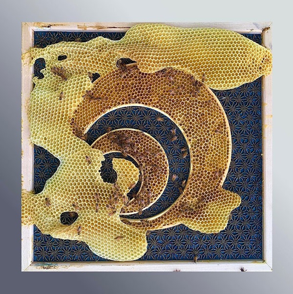 Sophie Godzik // Zwischen Waben und Werken. Eine Untersuchung künstlerischer Auseinandersetzungen mit Bienen in der Kunst des 20. und 21. Jahrhunderts