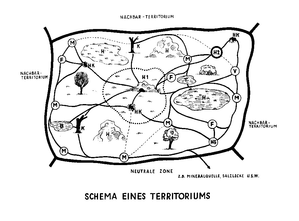 Heini Hediger: Schema eines Territoriums, Quelle: Zoo Zürich