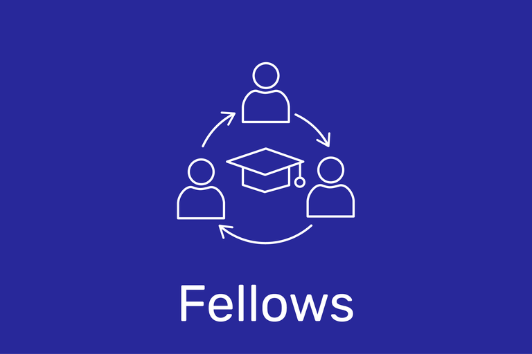 fellows-infografik