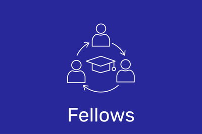 Fellows-Infografik