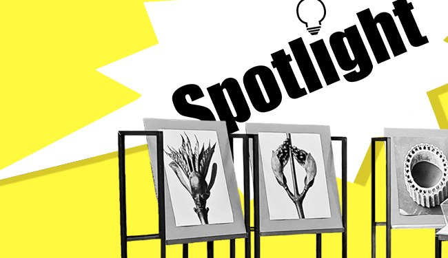 neuer-beitrag-auf-zi-spotlight-mimesis-or-ecology-alexandra-masgras-and-linn-burchert-on-bauhaus-ecologies-at-the-bauhaus-museum-dessau